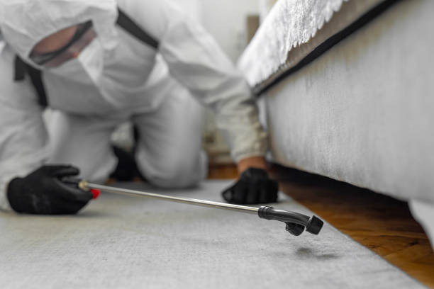 Professional Termite Control technician working in Houghton, NY