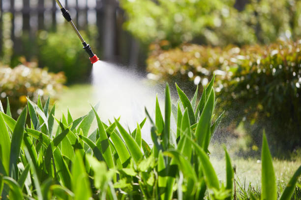 24/7 Emergency Termite Control experts in Houghton, NY