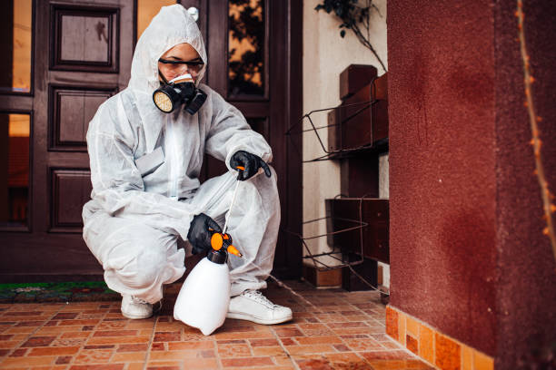 Reliable Termite Control contractor in Houghton, NY by Nex Pest Control