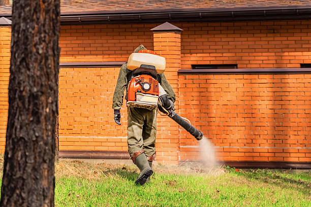 Trusted Ant Control service in Houghton, NY - Nex Pest Control